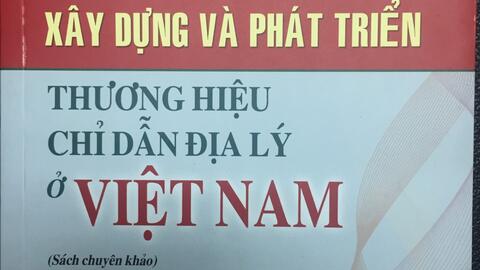 Xây dựng và phát triển thương hiệu chỉ dẫn địa lý ở Việt Nam