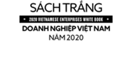 Sách trắng doanh nghiệp Việt Nam năm 2020: Phần 2