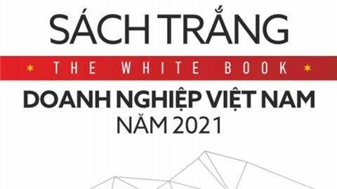 Sách trắng doanh nghiệp Việt Nam năm 2021: Số liệu